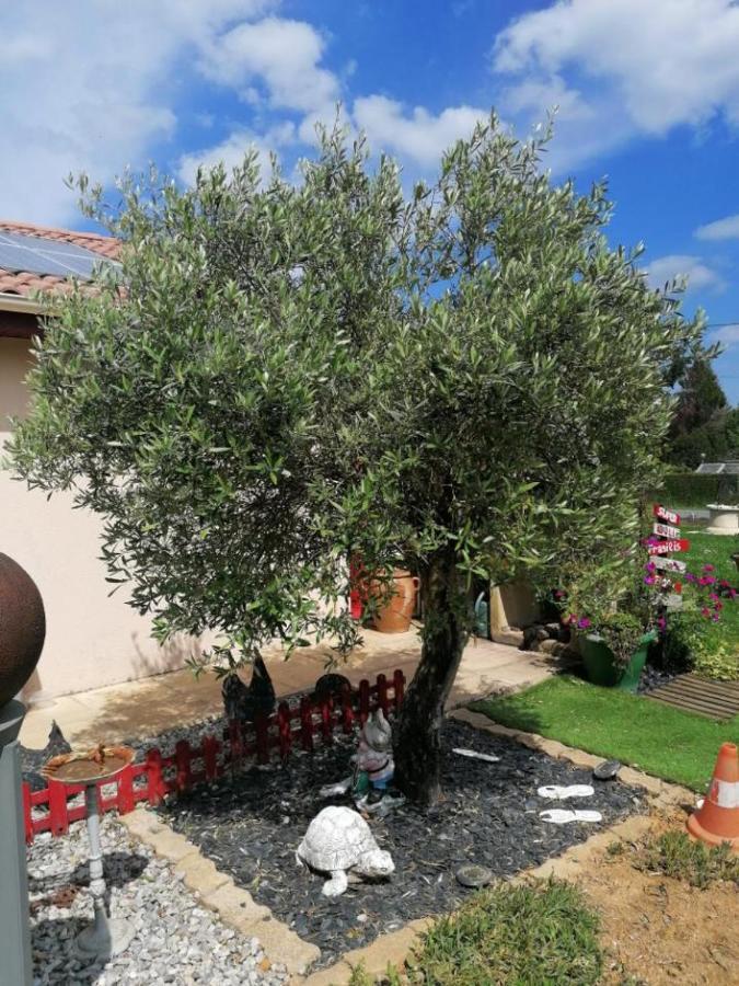 オラドゥール・シュル・グラヌ La Roulotte Des Trois Arbres Bed & Breakfast エクステリア 写真